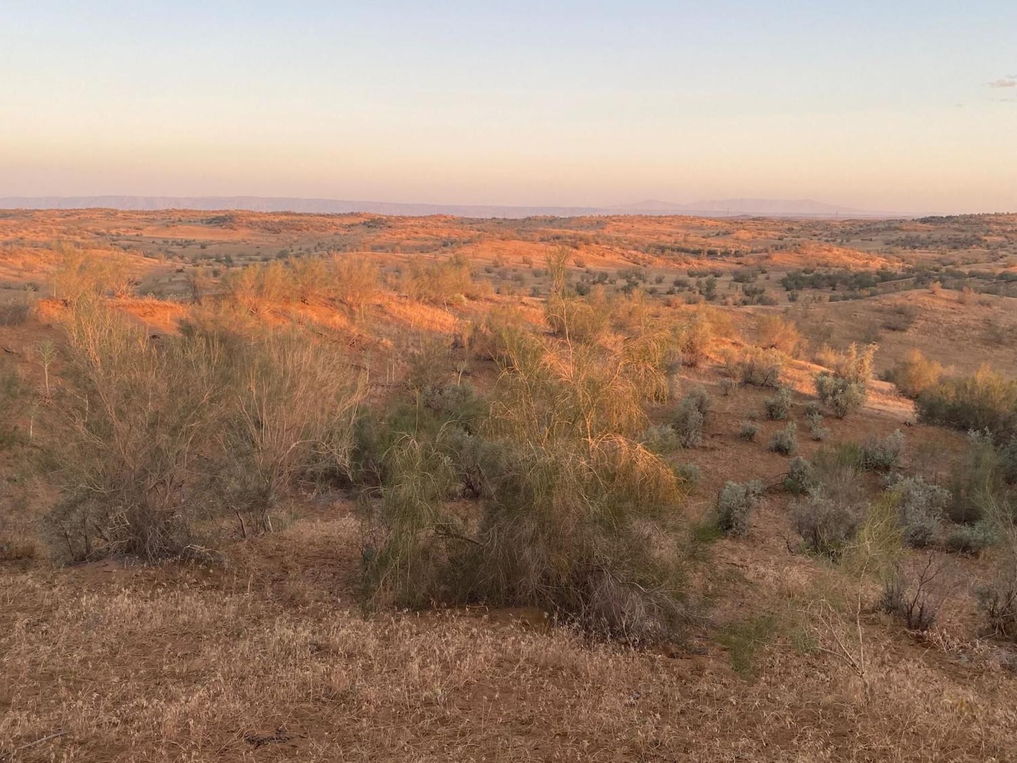 فندق Authentic Uzbek Yurt Camp Eco-Friendly Nurota المظهر الخارجي الصورة